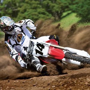 Meet your Posher, Lane